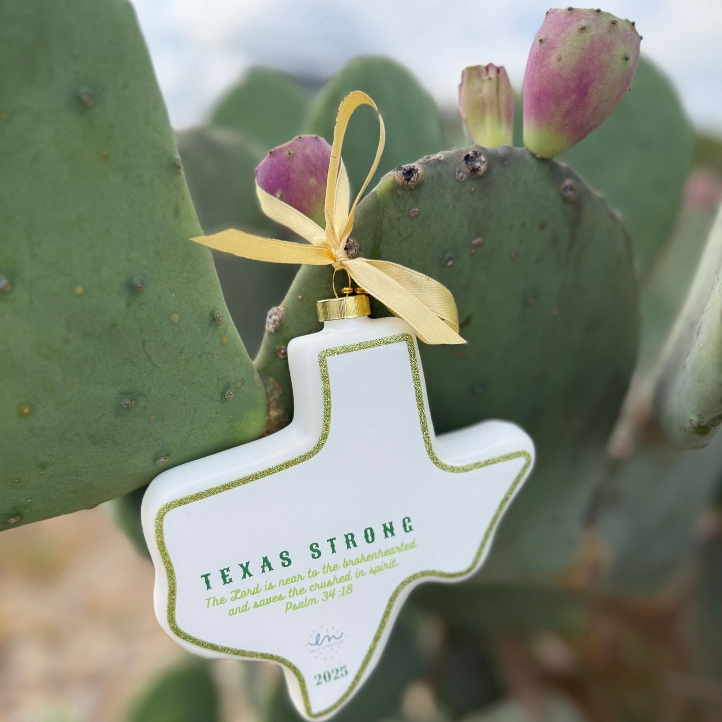 Texas Strong with Emily Nichols Commemorative Ornament Benefitting Heavens 27 Foundation